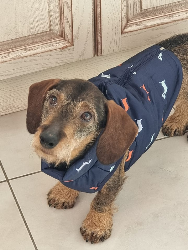 [Image: 320795139-692917385622560-9052290967208624042-n.jpg]