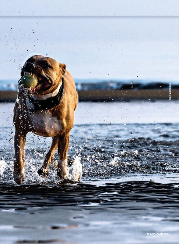 Il M C Dic 2022-Gen 2023 (8)