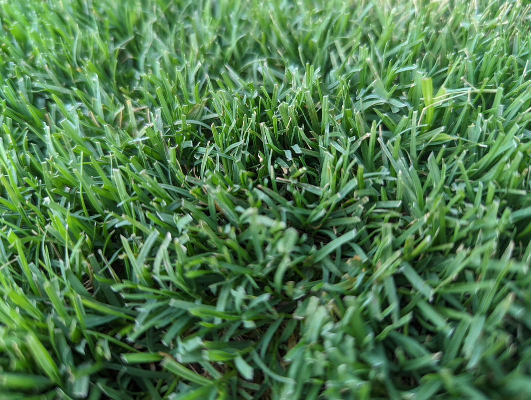 PXL_20220519_232503211