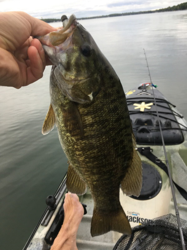 2C0D2CF5-5CDB-4F06-ACF6-24CE47D90219