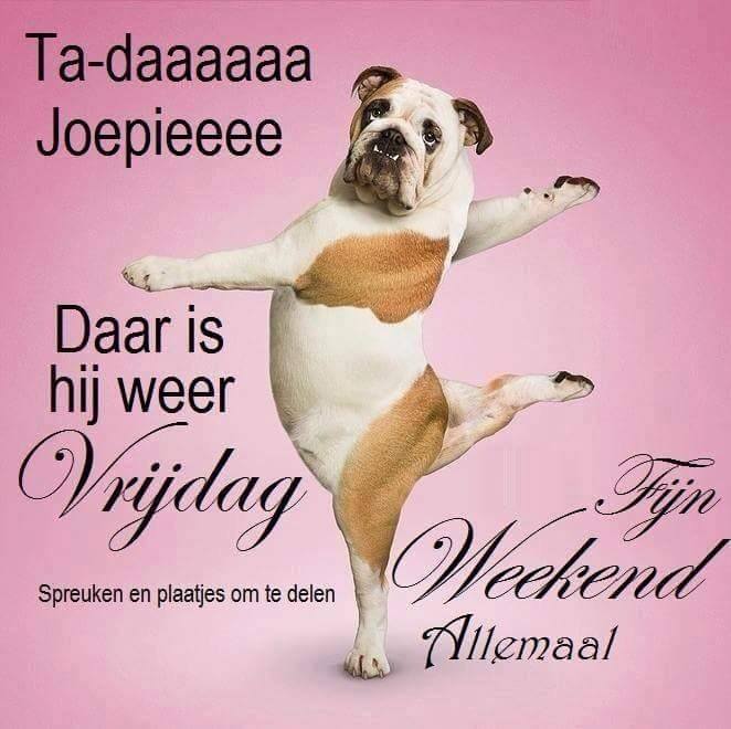 vrijdag1492766546.jpg