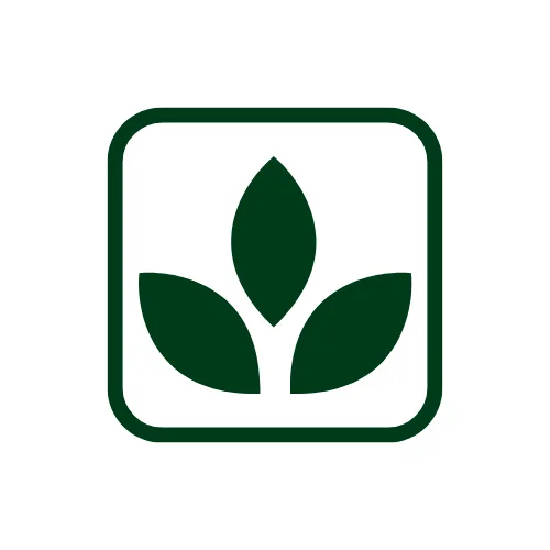 Logo Viver Equilíbrio