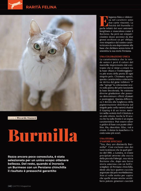 Ga Ma Ott-Nov 2022 (7)