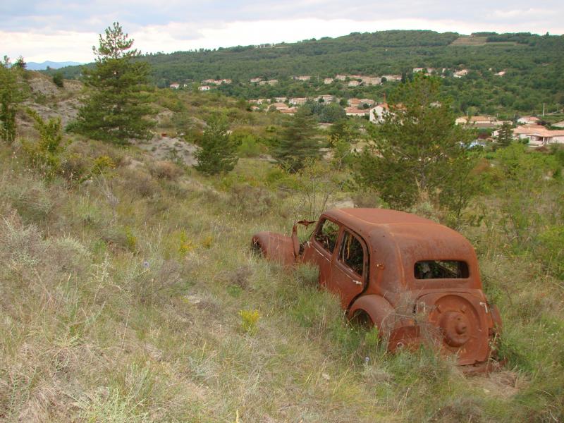 DSC19