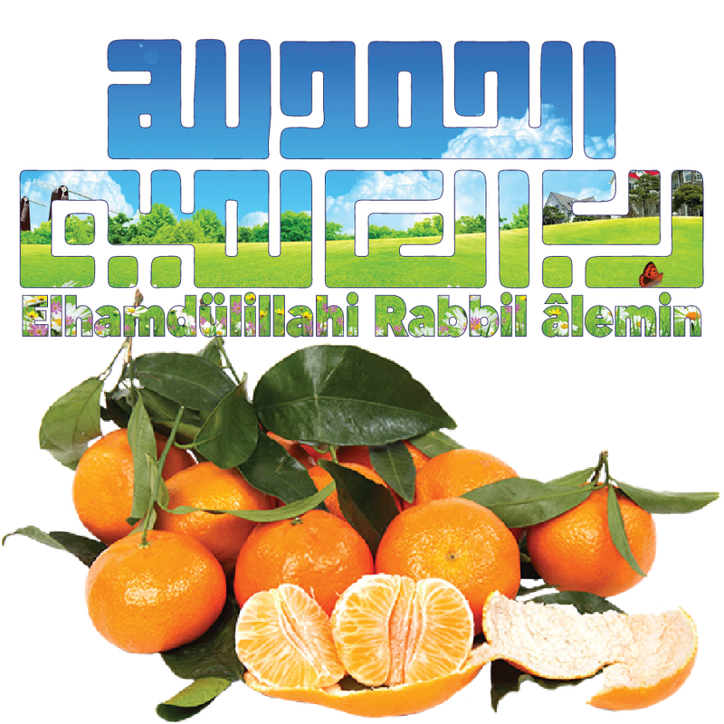 Elhamdü lillâhi rabbil'alemin Ramadi1445 (8)