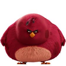 https://i.postimg.cc/VkT0KmS1/Terence.jpg
