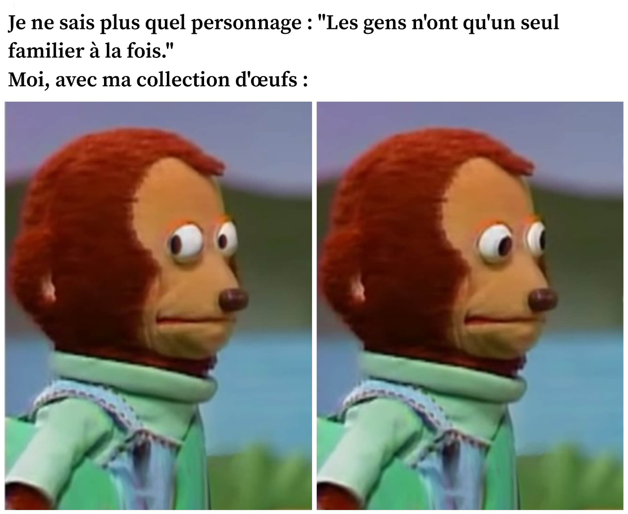 https://i.postimg.cc/VkTDHtmD/ME12.png