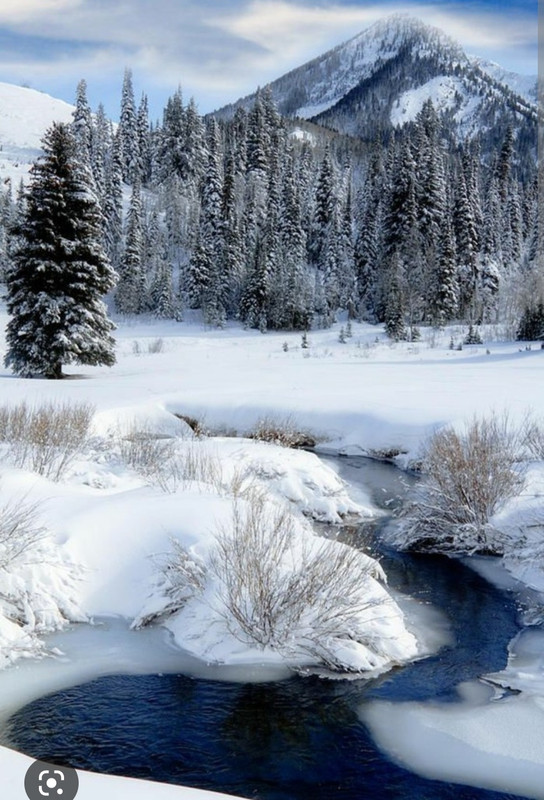 Screenshot_20221125-002118_Chrome