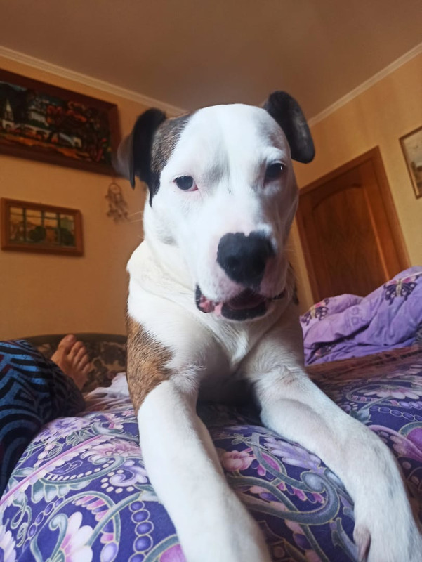 CEA417AA-6066-4198-8B5D-F2BDADD731A6