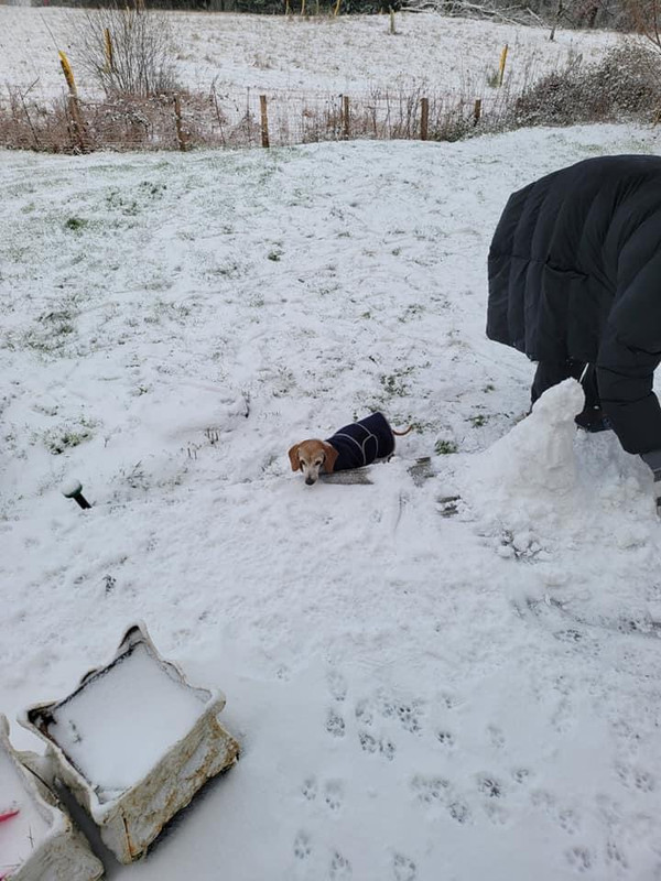 [Image: D3939730-B267-456-C-B45-C-52022-F9-CF286.jpg]