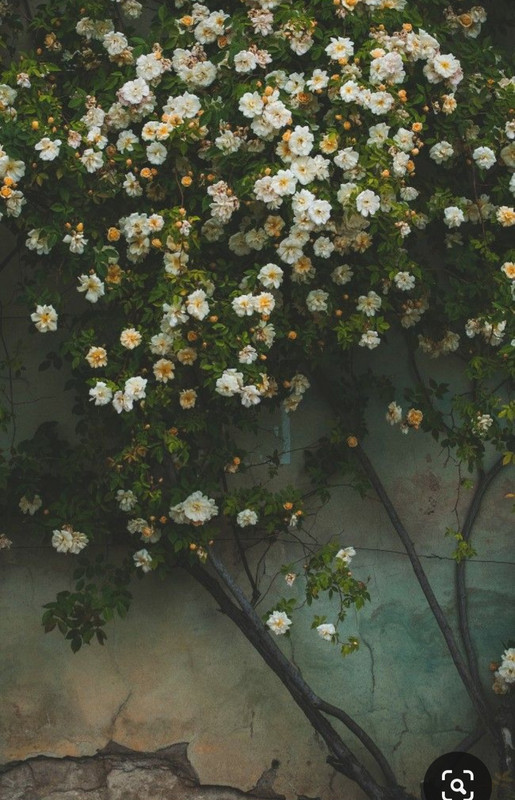 Screenshot_20240330_234226_Pinterest