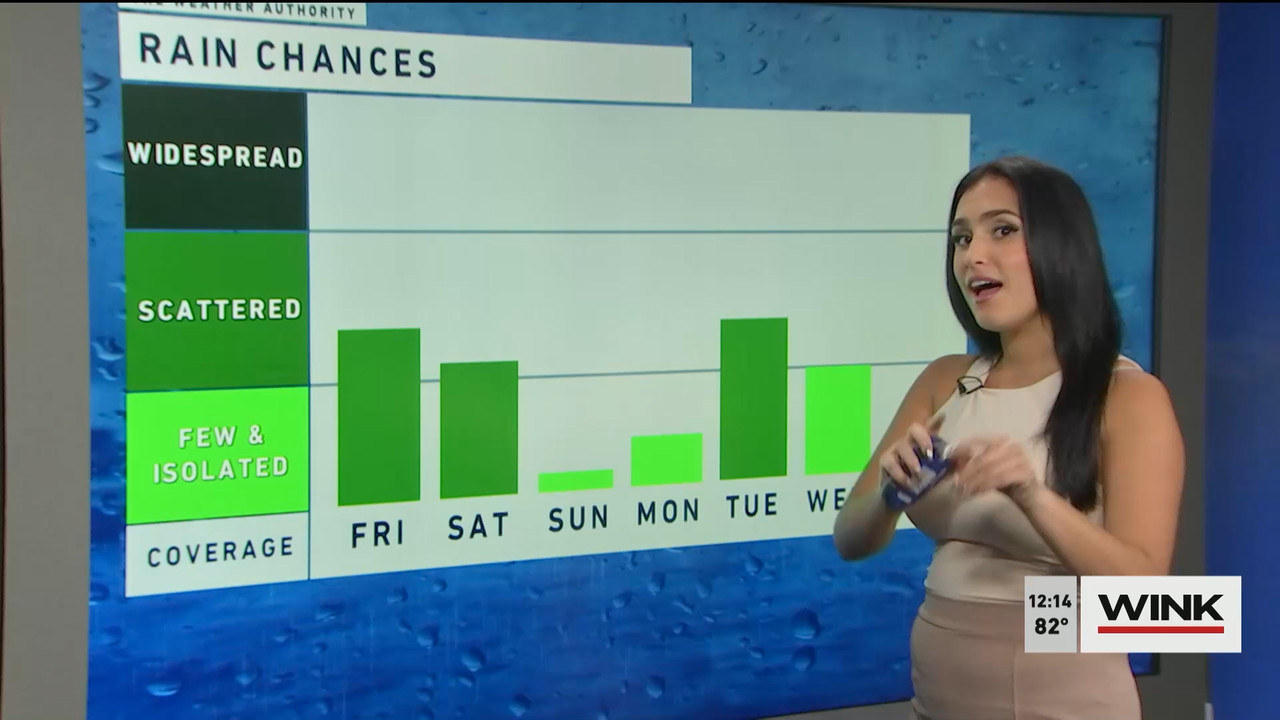 10.14 - 17.00.00 - The WINK Noon News  ᴺᵉʷ. Midday news update..ts_snapshot_21.06.721