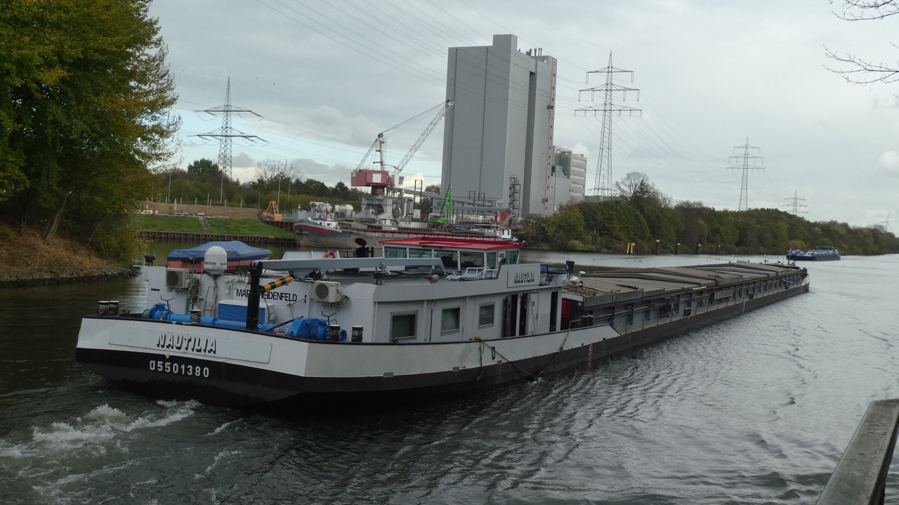 2022.11.04f Nautilia