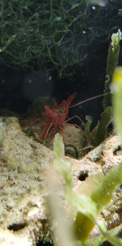 Screenshot 2025 12 21 15 13 21 22 99c04817c0de5652397fc8b56c3b3817