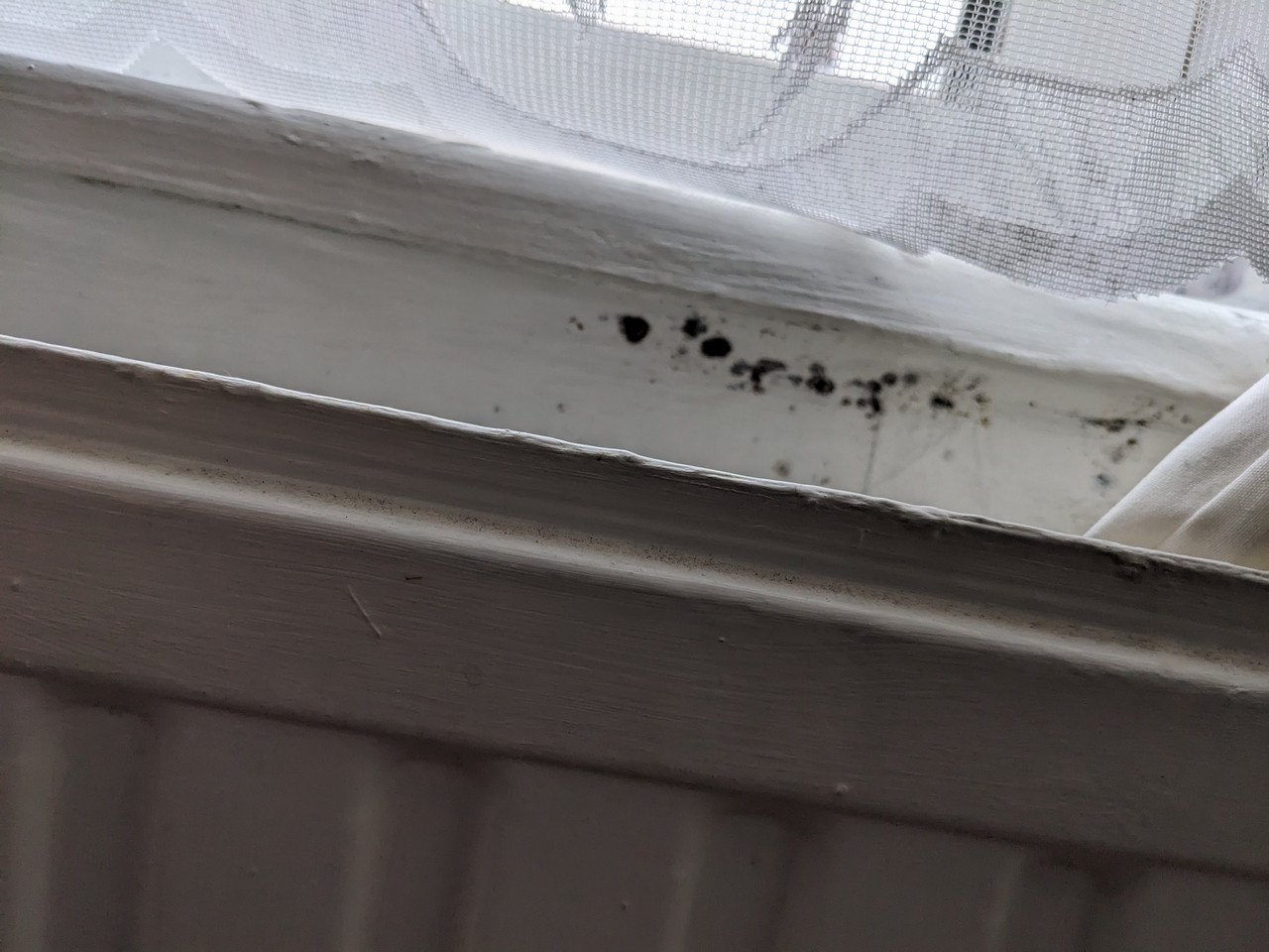 PXL 20260312 100626552