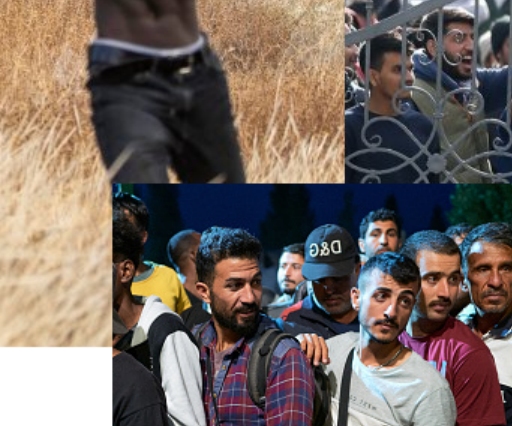 
Warum sind Ghettos in Europa oft von Afrikanern und Muslimen bewohnt?