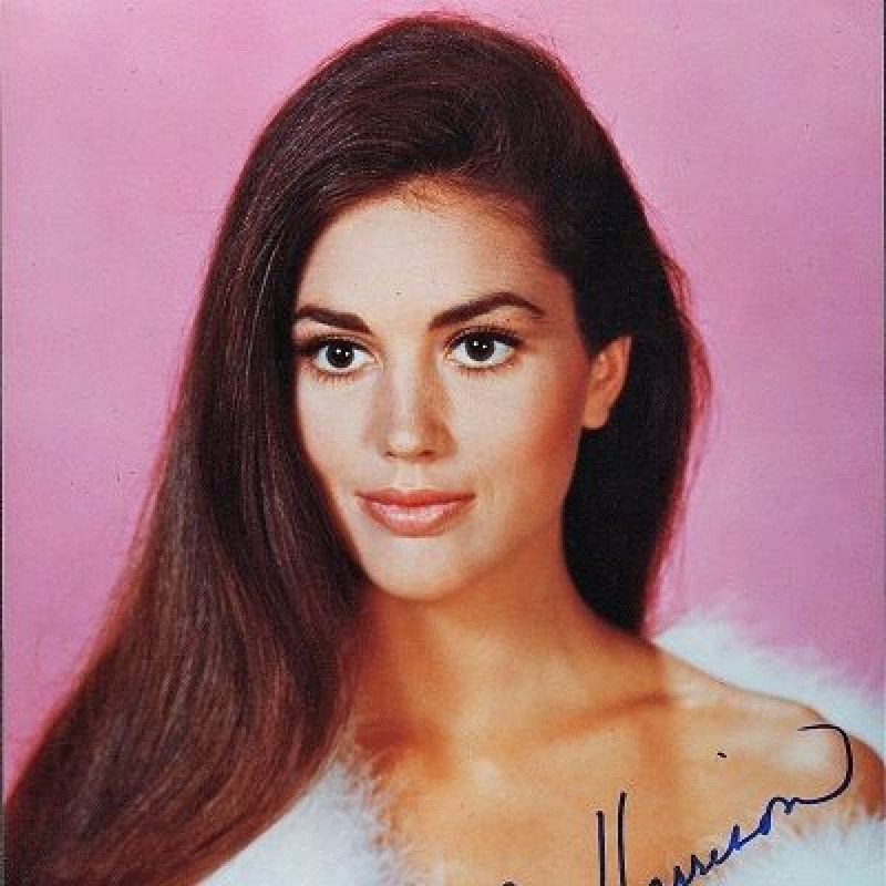 Linda-Harrison-1-1200x1200.jpg