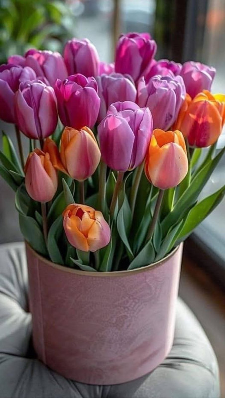 641561019-1491957438962186-5732811406153114913-n