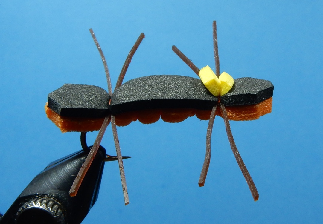 Chernobyl-Ant-1080.jpg Chernobyl-Ant-1080.jpg