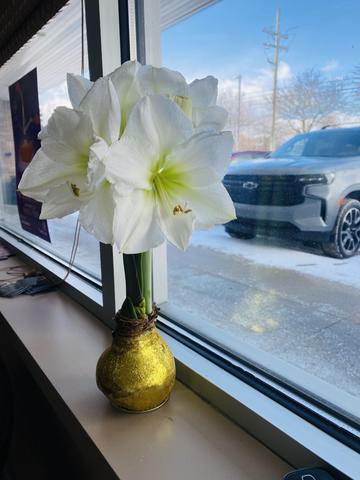 [Image: IMG-8455.jpg]