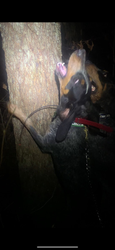 9AEA13D2-6B2A-4BA1-AB77-2CFCB0C96794