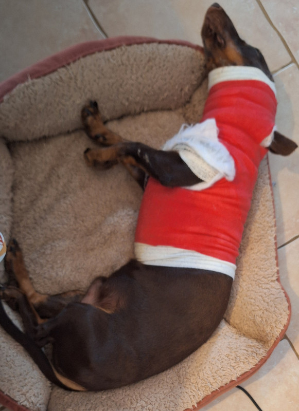 [Image: 20250830-165026.jpg]