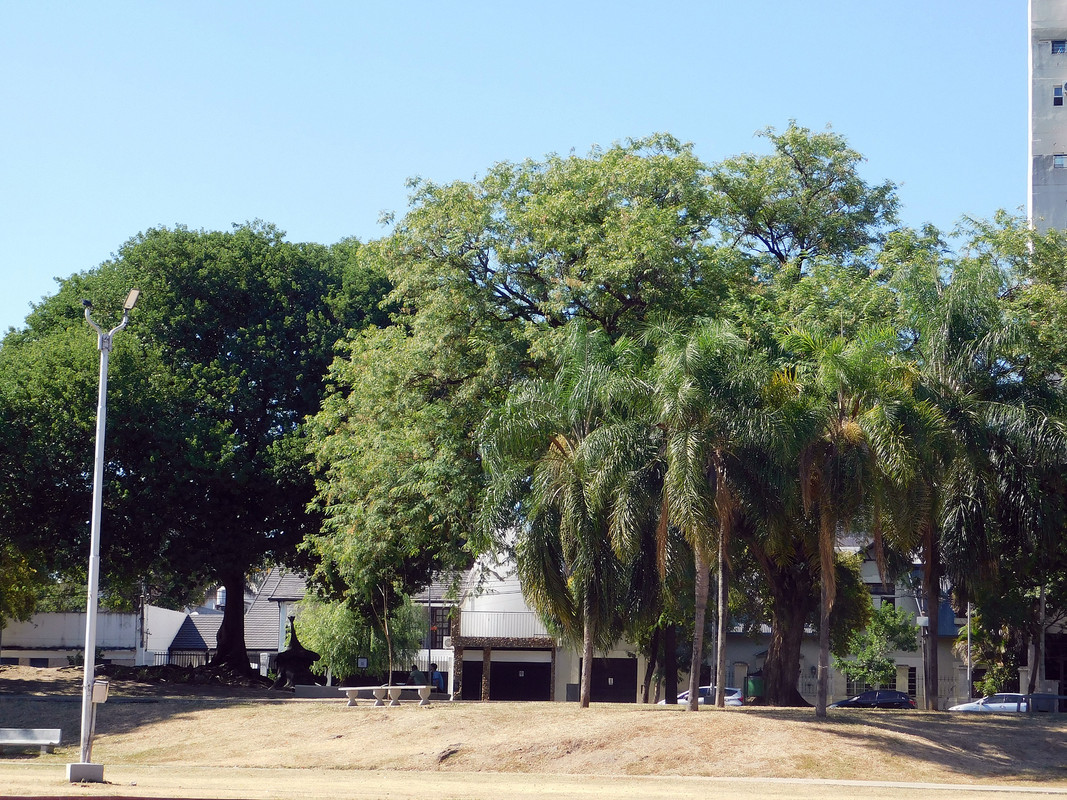 DSCN0807.jpg
