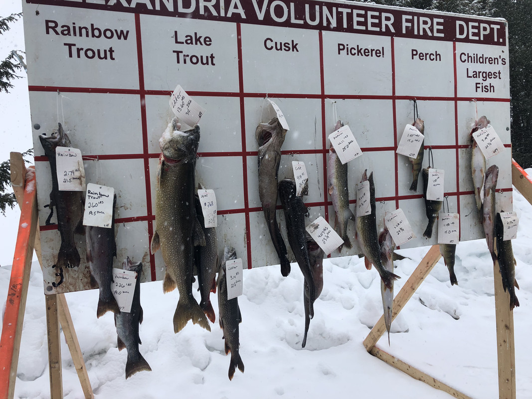 E19751F9-9557-4F93-BE25-5E3B4F603455