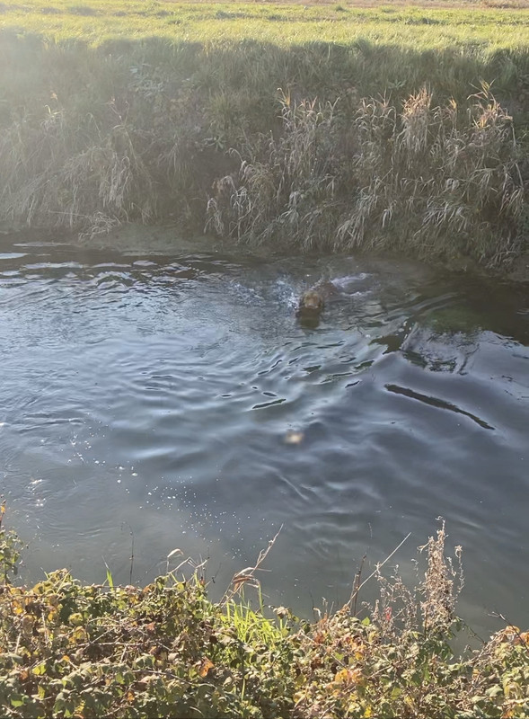 7DB676C4-2DBE-4885-8039-2C914B10E5BE