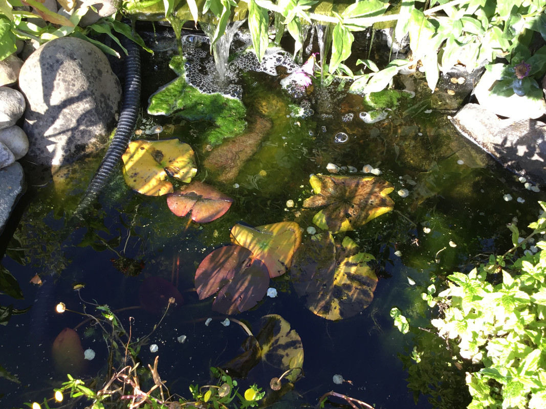 ABEB75FC-2AD7-404C-B76D-196726EA3D35