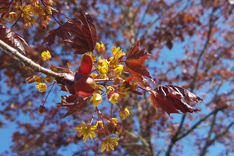 [Image: 20200415-124919.jpg]