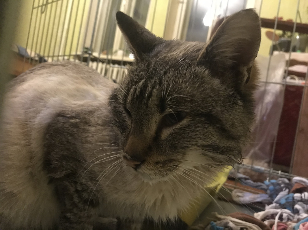 65BA815F-A013-4904-A205-06DD7C7A3D99