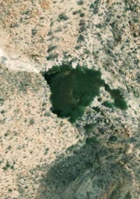 Screenshot_20250618-080453 (1)