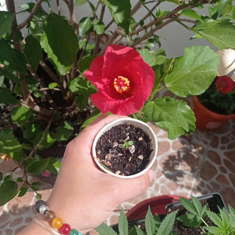 322740383_666532178589625_3938521064510256759_n