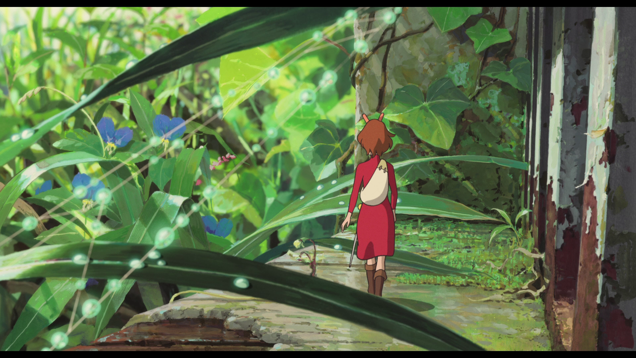 vlcsnap-2024-01-07-11h33m51s085