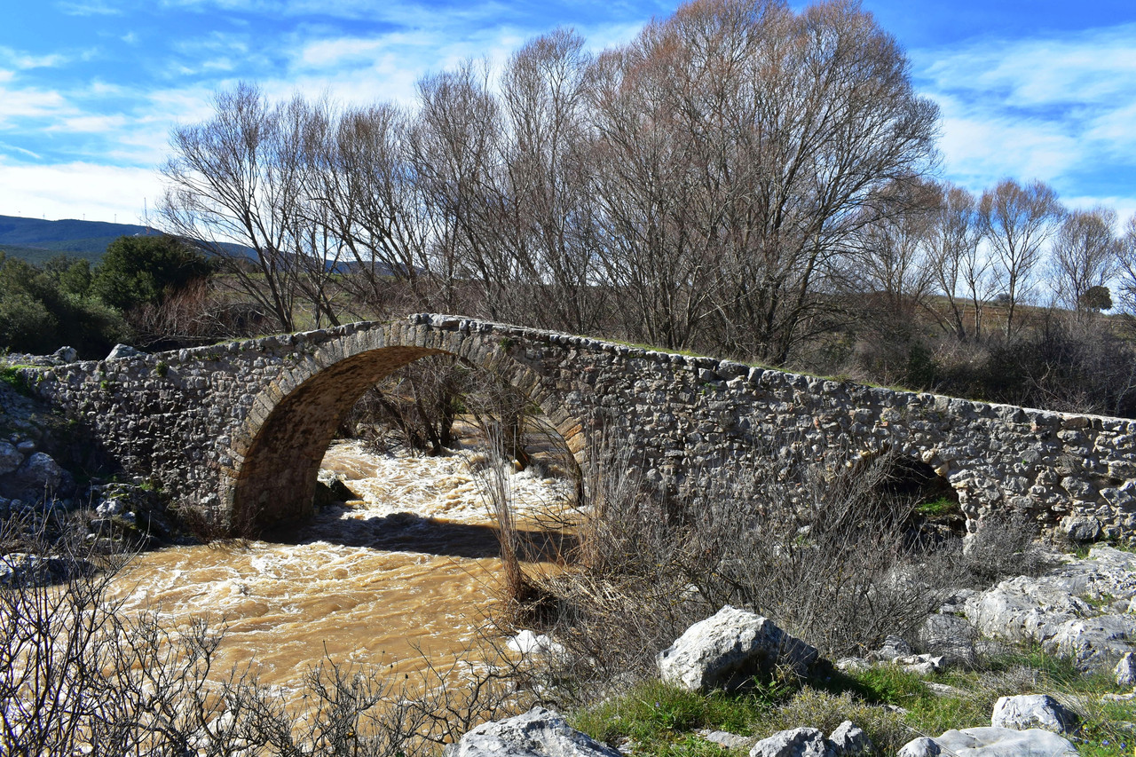 Πέτρινο γεφύρι Δαφνούλας (3)