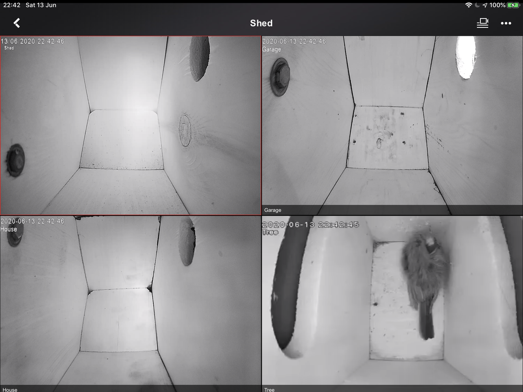 9F7A9253-8863-4854-ADCD-D8A6B9AE7AD0