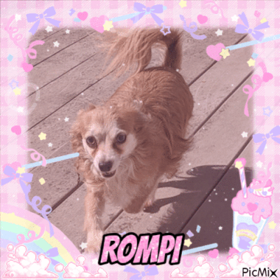 rompi picmix