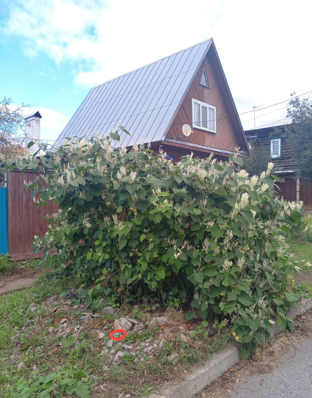 photo_2025-09-29_15-45-38