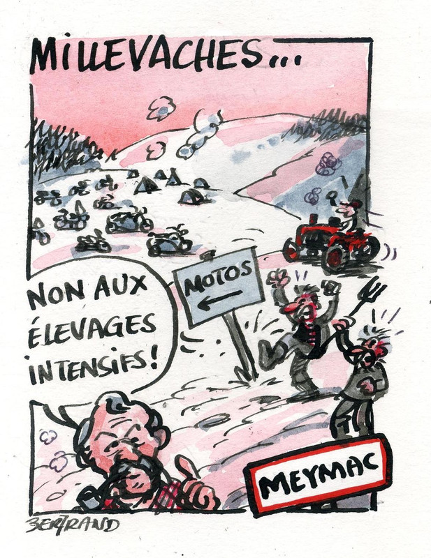 Millevaches élevage intensif