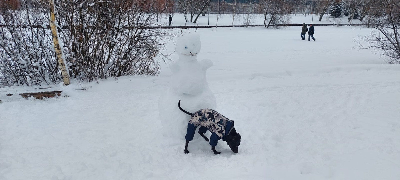 5E6AE4B3-0C06-4648-8287-A1C66795F67C