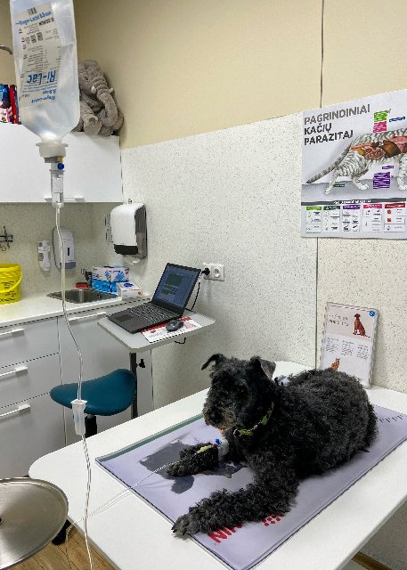 E1-B1813-B-D4-B4-418-B-ADD8-9-CD5081-D09