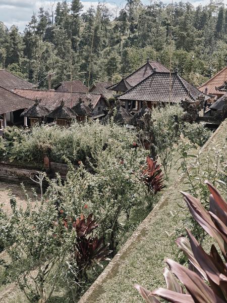 6 Aviones, 3 barcos y 2 trenes, empezando en Estambul y terminando Kuala Lump - Blogs de Indonesia - TERCERA PARADA: BALI (69)