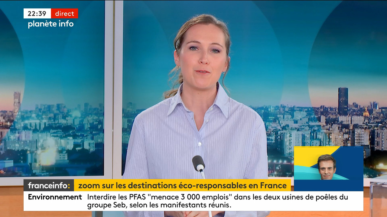 Planète info (Franceinfo)_2024_04_03_20_53_49.ts_snapshot_00.46.58.424