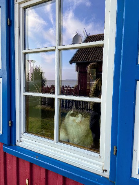 98-AB63-BF-06-CA-46-F2-B7-B4-AB18-B5-A1-