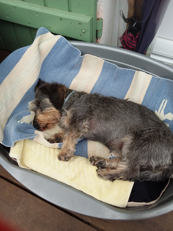 [Image: 20230716-153434.jpg]