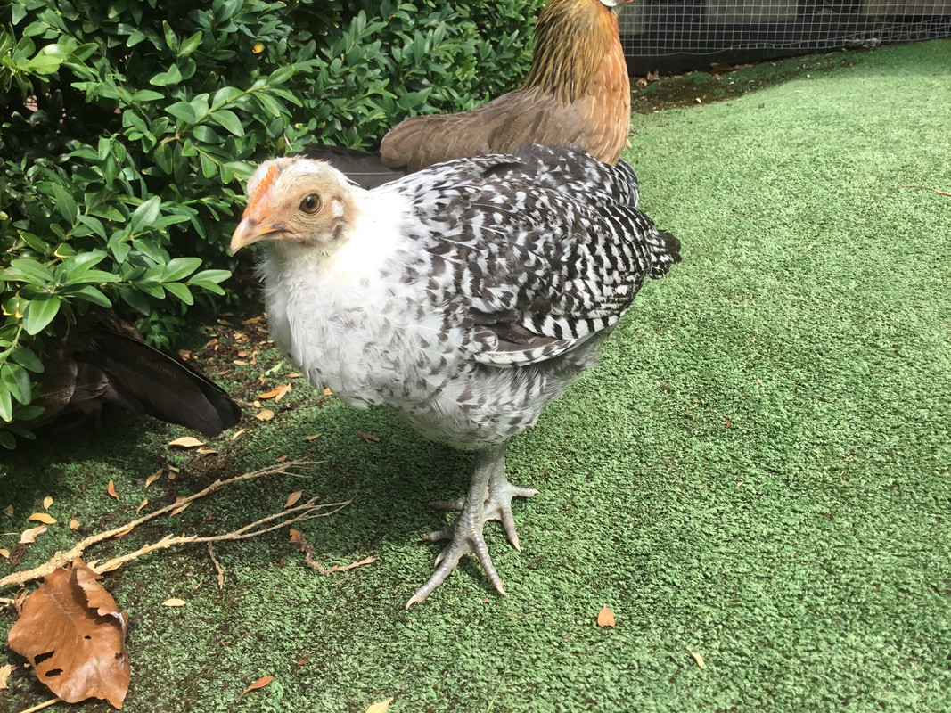 6442C42A-14E3-459B-B047-4D829B927EB8