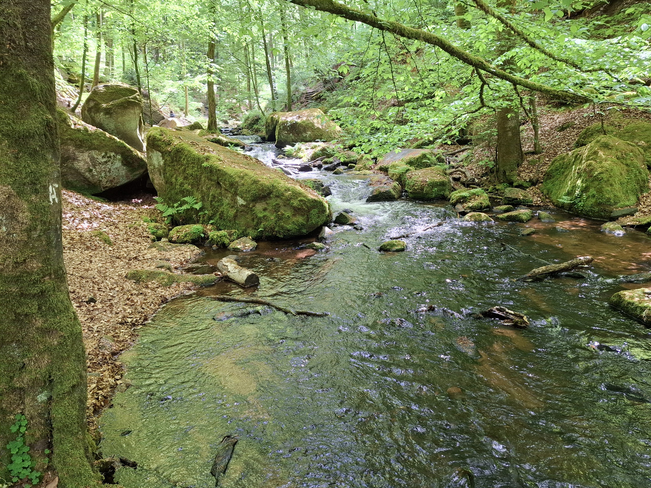 20260509-130934.jpg