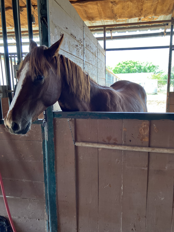 A1CBE7C7-CF64-4EDD-A3C1-52F398B969E7