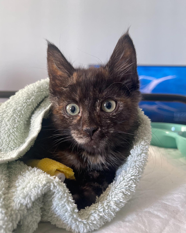 8B39CC36-D7AC-4FDF-B61D-29979EF4CF0D